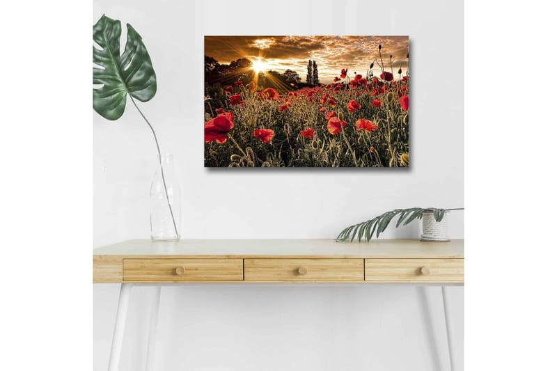 Veggdekorasjon LED-belysning Canvas Bilde - Interiør - Maleri & posters - Lerretsbilder