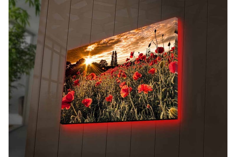 Veggdekorasjon LED-belysning Canvas Bilde - Interiør - Maleri & posters - Lerretsbilder