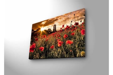 Veggdekorasjon LED-belysning Canvas Bilde - Interiør - Maleri & posters - Lerretsbilder
