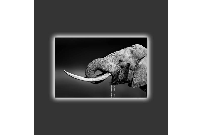 Veggdekorasjon LED-belysning Canvas Bilde - Interiør - Maleri & posters - Lerretsbilder