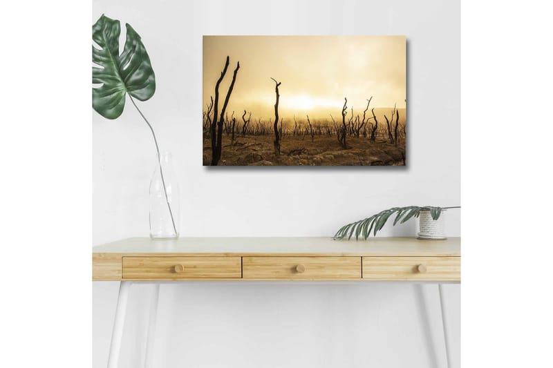Veggdekorasjon LED-belysning Canvas Bilde - Interiør - Maleri & posters - Lerretsbilder