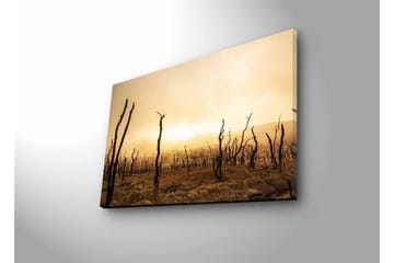 Veggdekorasjon LED-belysning Canvas Bilde - Interiør - Maleri & posters - Lerretsbilder