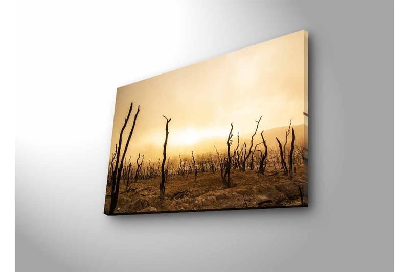 Veggdekorasjon LED-belysning Canvas Bilde - Interiør - Maleri & posters - Lerretsbilder