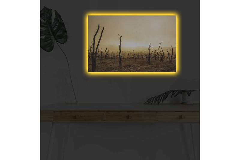 Veggdekorasjon LED-belysning Canvas Bilde - Interiør - Maleri & posters - Lerretsbilder