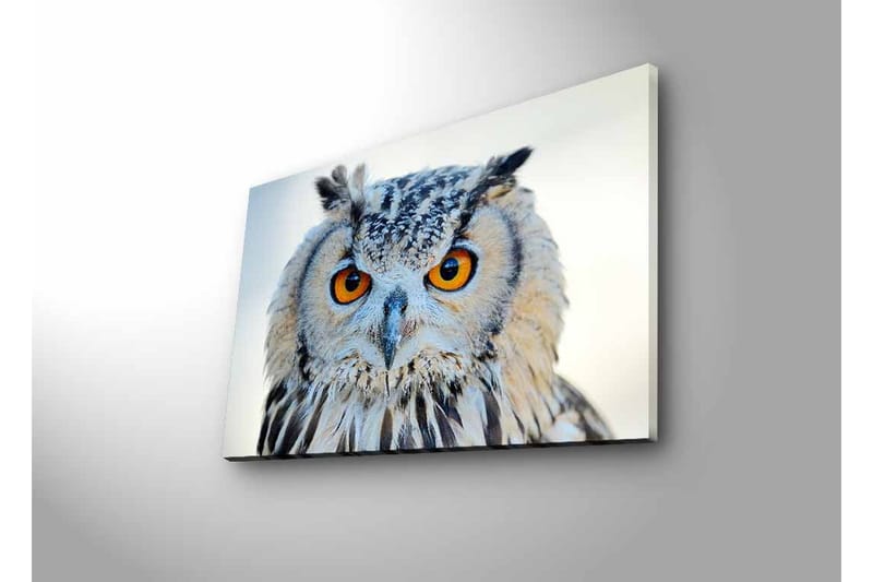 Veggdekorasjon LED-belysning Canvas Bilde - Interiør - Maleri & posters - Lerretsbilder