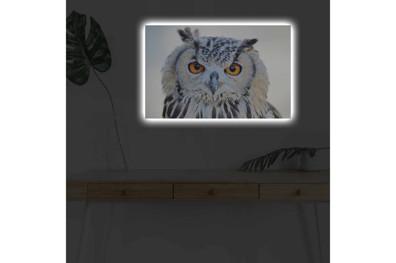 Veggdekorasjon LED-belysning Canvas Bilde - Interiør - Maleri & posters - Lerretsbilder