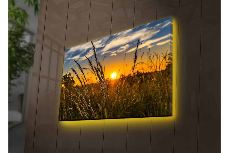 Veggdekorasjon LED-belysning Canvas Bilde - Interiør - Maleri & posters - Lerretsbilder