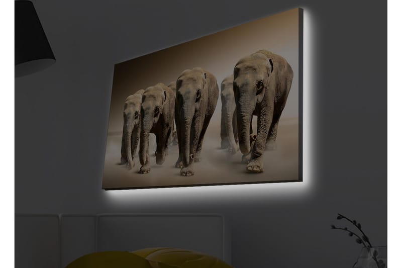 Veggdekorasjon LED-belysning Canvas Bilde - Interiør - Maleri & posters - Lerretsbilder