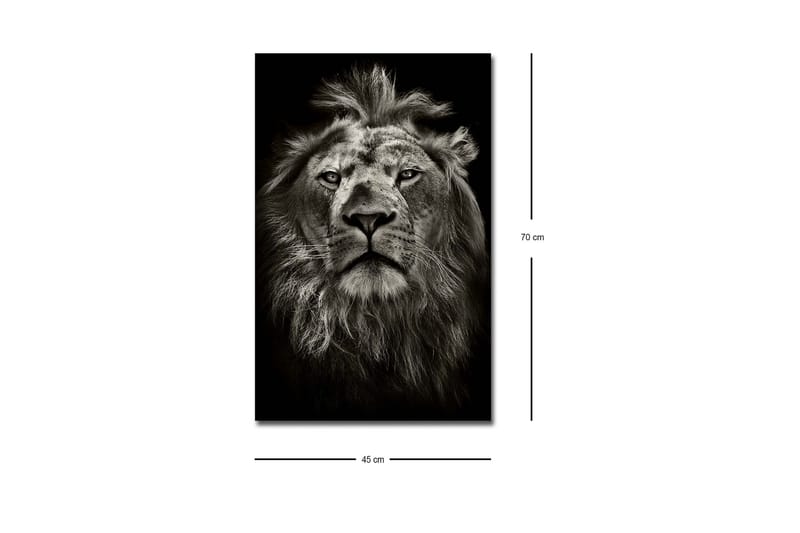 Veggdekorasjon LED-belysning Canvas Bilde - Interiør - Maleri & posters - Lerretsbilder