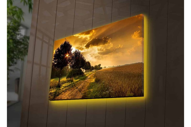 Veggdekorasjon LED-belysning Canvas Bilde - Interiør - Maleri & posters - Lerretsbilder