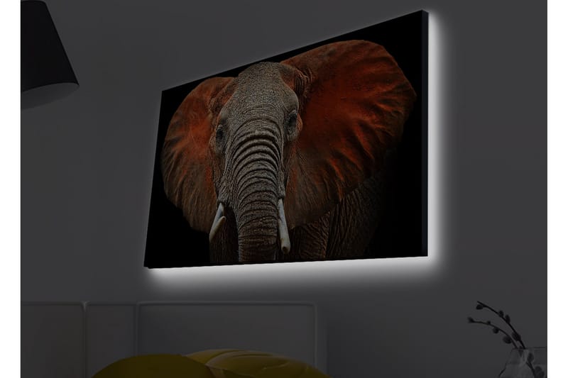 Veggdekorasjon LED-belysning Canvas Bilde - Interiør - Maleri & posters - Lerretsbilder