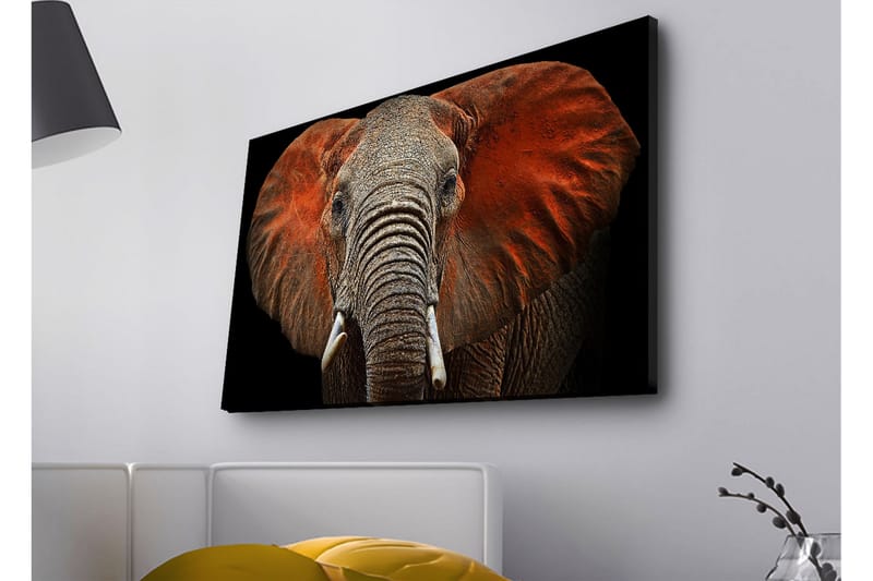 Veggdekorasjon LED-belysning Canvas Bilde - Interiør - Maleri & posters - Lerretsbilder