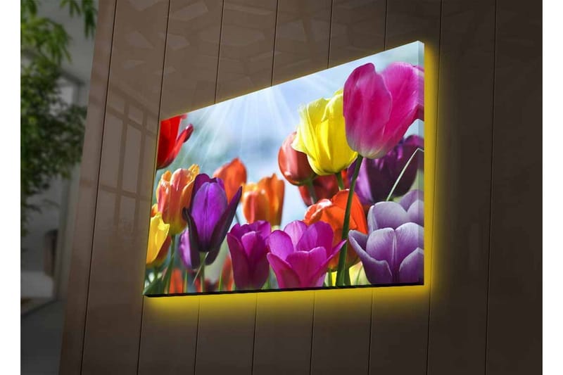 Veggdekorasjon LED-belysning Canvas Bilde - Interiør - Maleri & posters - Lerretsbilder