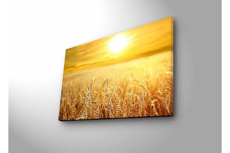 Veggdekorasjon LED-belysning Canvas Bilde - Interiør - Maleri & posters - Lerretsbilder