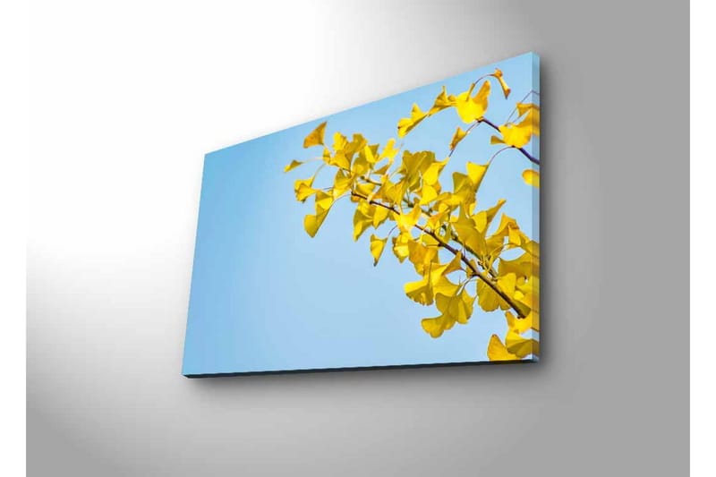 Veggdekorasjon LED-belysning Canvas Bilde - Interiør - Maleri & posters - Lerretsbilder