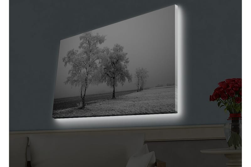 Veggdekorasjon LED-belysning Canvas Bilde - Interiør - Maleri & posters - Lerretsbilder