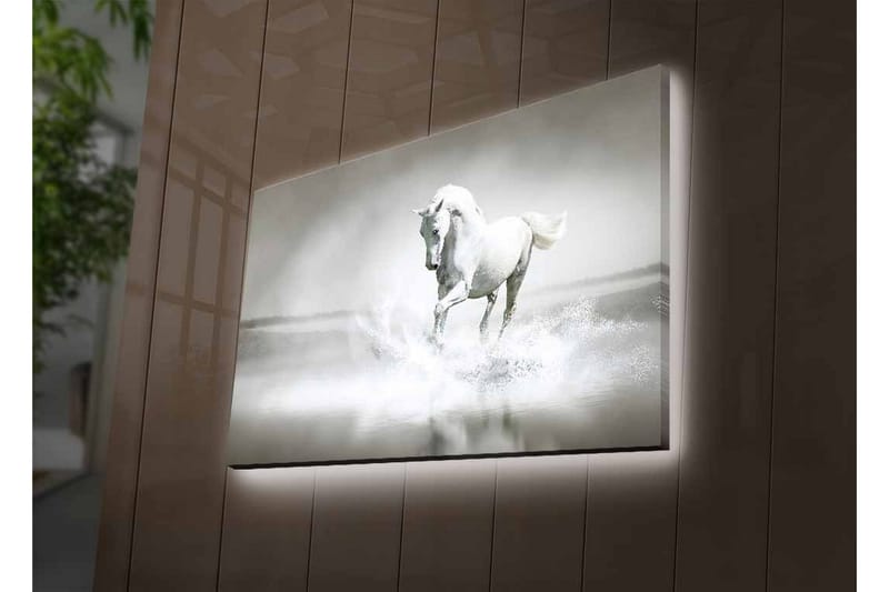 Veggdekorasjon LED-belysning Canvas Bilde - Interiør - Maleri & posters - Lerretsbilder