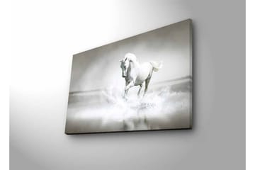 Veggdekorasjon LED-belysning Canvas Bilde - Interiør - Maleri & posters - Lerretsbilder