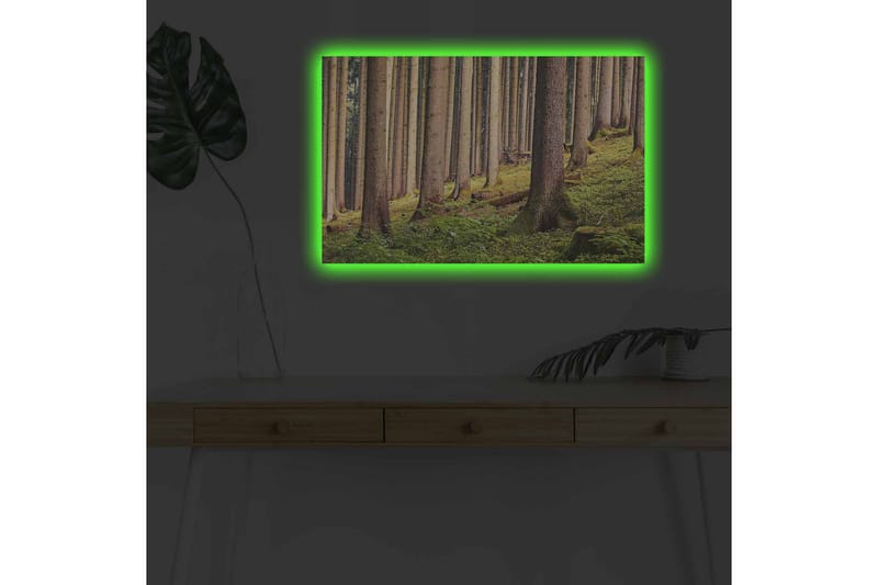 Veggdekorasjon LED-belysning Canvas Bilde - Interiør - Maleri & posters - Lerretsbilder