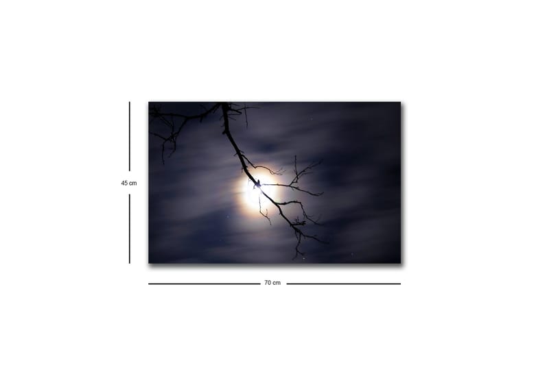 Veggdekorasjon LED-belysning Canvas Bilde - Interiør - Maleri & posters - Lerretsbilder