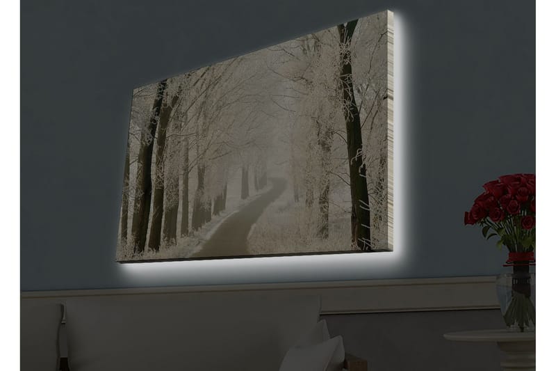 Veggdekorasjon LED-belysning Canvas Bilde - Interiør - Maleri & posters - Lerretsbilder
