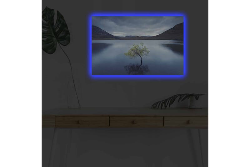 Veggdekorasjon LED-belysning Canvas Bilde - Interiør - Maleri & posters - Lerretsbilder