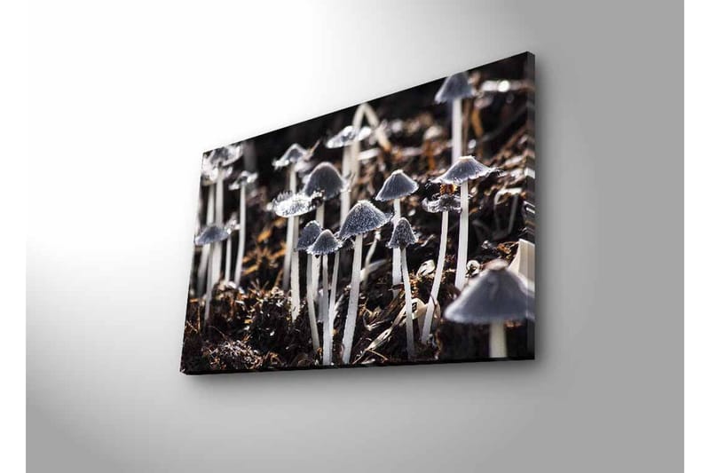Veggdekorasjon LED-belysning Canvas Bilde - Interiør - Maleri & posters - Lerretsbilder