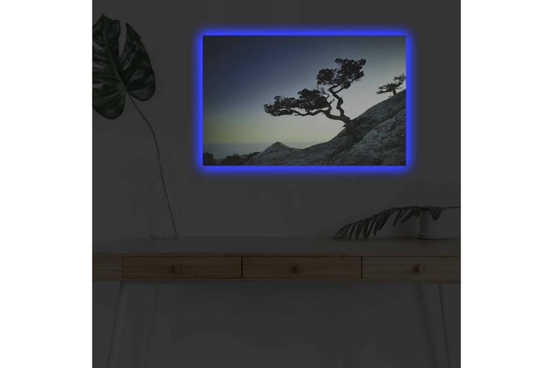 Veggdekorasjon LED-belysning Canvas Bilde - Interiør - Maleri & posters - Lerretsbilder