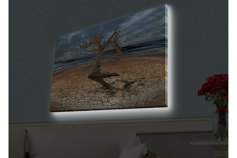 Veggdekorasjon LED-belysning Canvas Bilde - Interiør - Maleri & posters - Lerretsbilder
