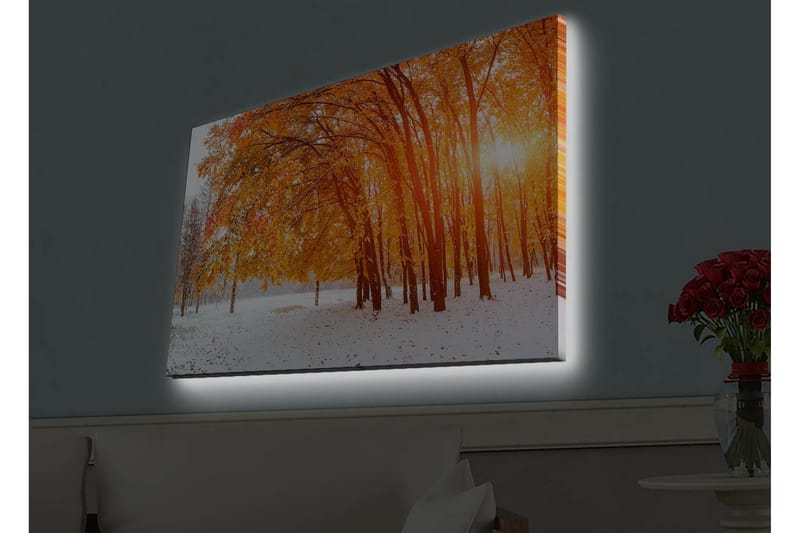 Veggdekorasjon LED-belysning Canvas Bilde - Interiør - Maleri & posters - Lerretsbilder