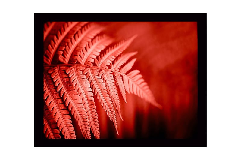 Veggdekorasjon MDF Bilde