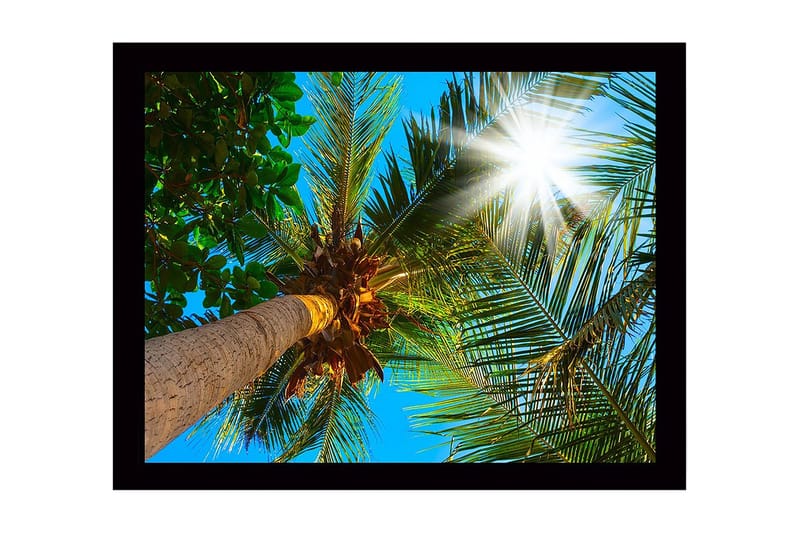 Veggdekorasjon MDF Bilde