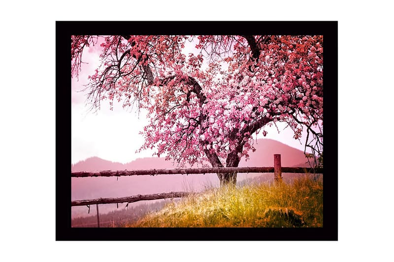 Veggdekorasjon MDF Bilde