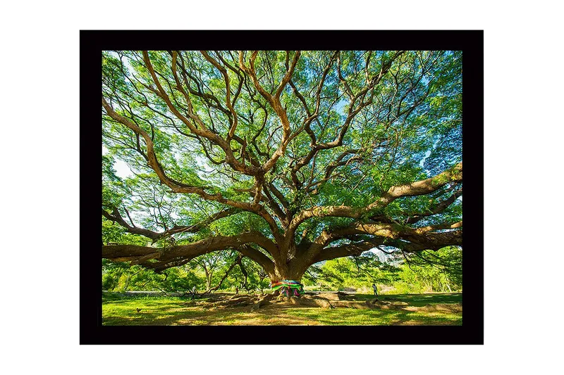 Veggdekorasjon MDF Bilde