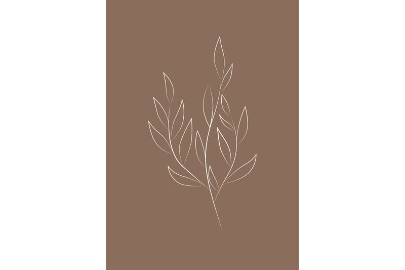 Poster Drawed leaf 50x70 cm - Brun - Posters