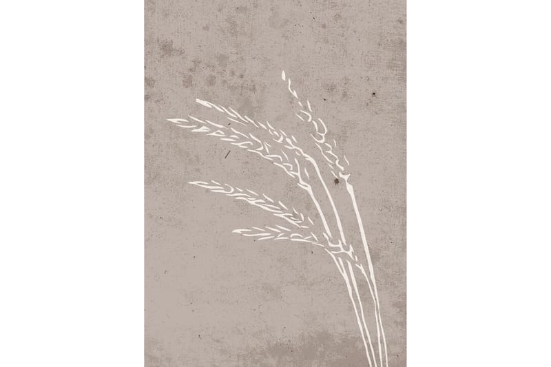Poster Seeds 50x70 cm - Beige - Posters