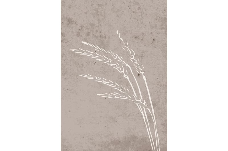 Poster Seeds 70x100 cm - Beige - Posters