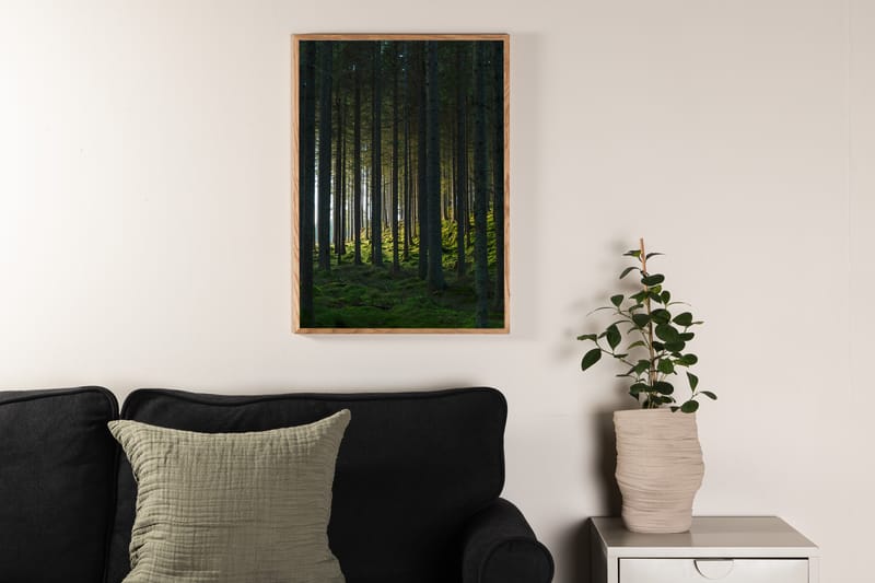 Poster Woods 70x100 cm - Svart/Grønn - Posters