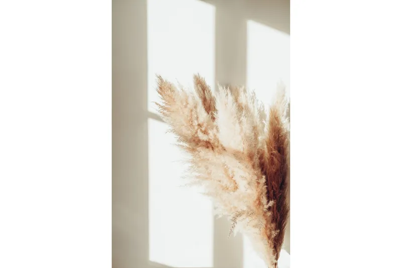 Poster Pampas 70x100 cm, Beige