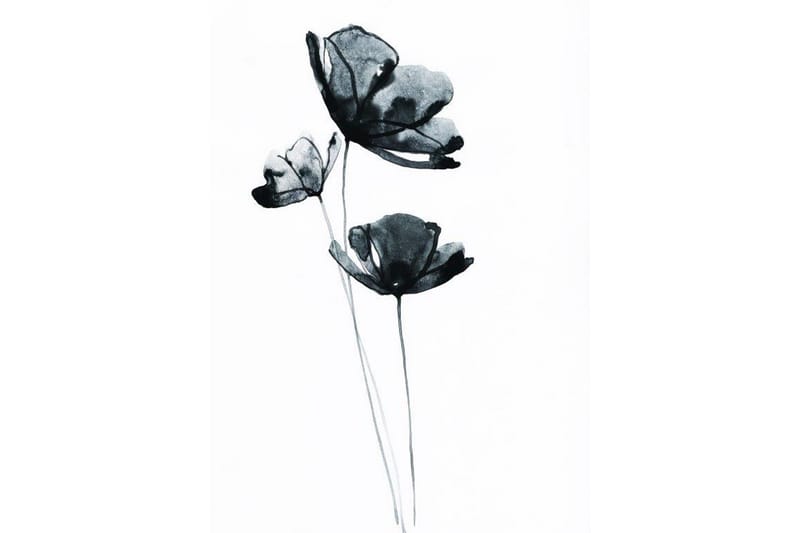 Black Flower Watercolour Painting Hvit - Posters