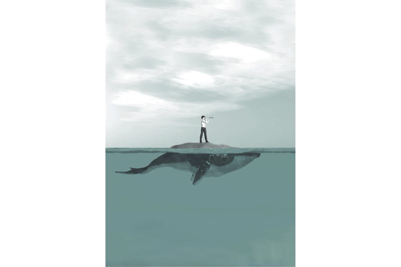 Boy & Whale Foto Blå/Grå - 50x70 cm - Posters