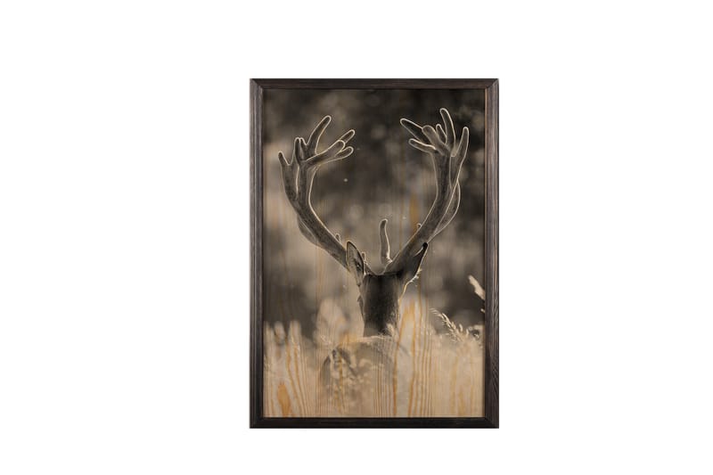 Deer In The Field Painting/Foto Grå/Beige - 50x70 cm - Posters - Dyreplakater