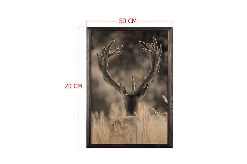 Deer In The Field Painting/Foto Grå/Beige - 50x70 cm - Posters - Dyreplakater