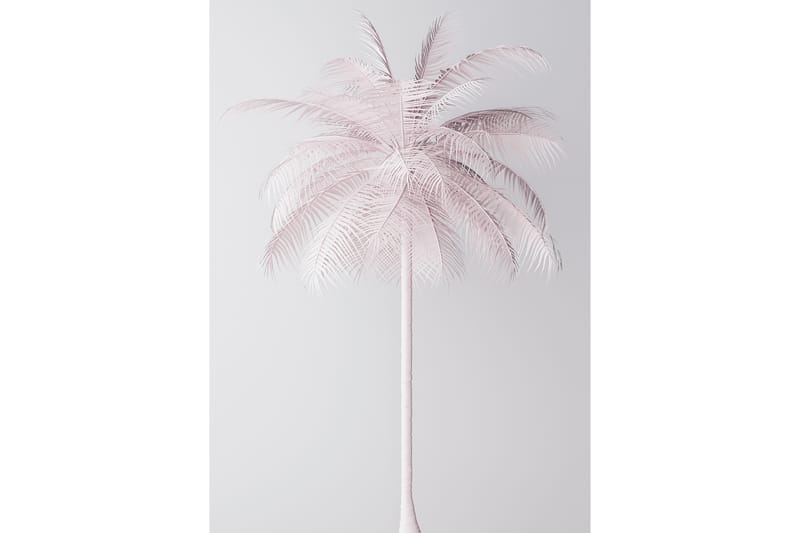 Palmtree Foto Rosa/Hvit - 50x70 cm - Posters - Plakater barnerom