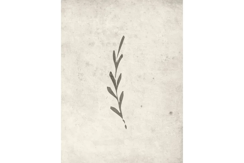 Poster Autumn leaf 30x40 cm, Beige