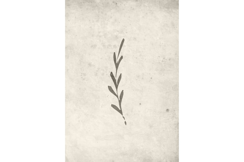 Poster Autumn leaf 70x100 cm, Beige