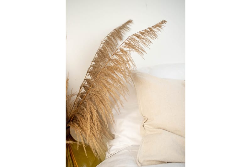 Poster Bohemian 50x70 cm, Beige