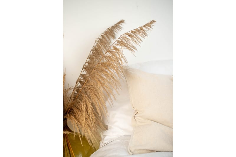 Poster Bohemian 70x100 cm, Beige