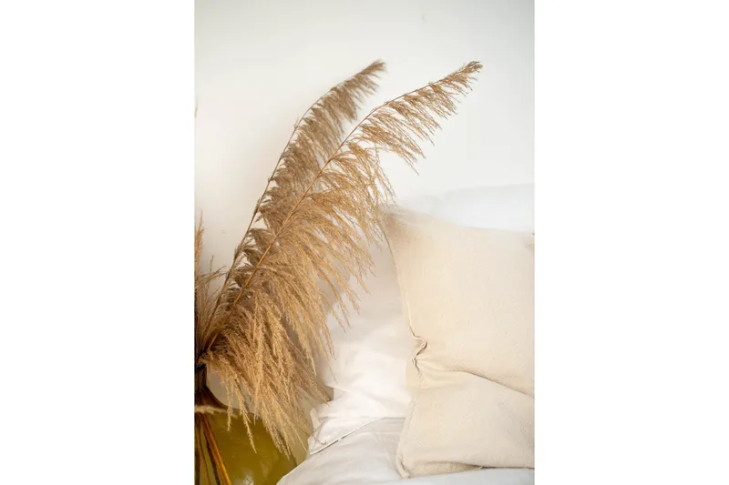 Poster Bohemian 70x100 cm, Beige