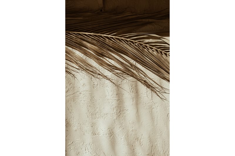 Poster Dessert 50x70 cm - Posters